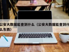 公安大数据能查到什么（公安大数据能查到什么东西）